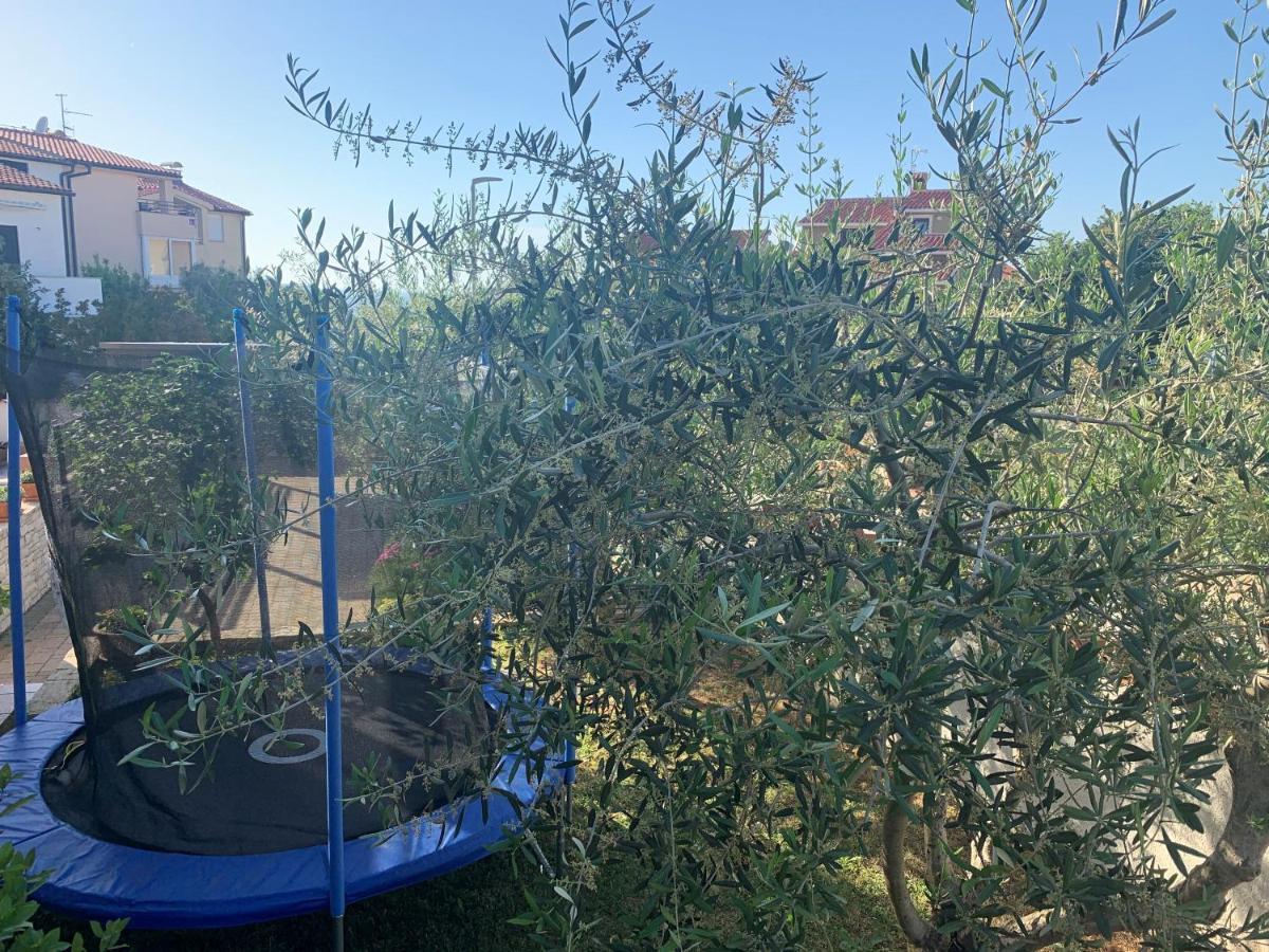 Villa Ulika - 3 Apt For 4 Persons بولا المظهر الخارجي الصورة